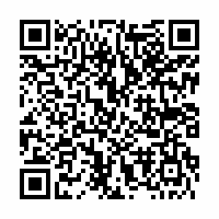 QR Code für Schumann-Fest Zwickau: Romantisches Lichterfest